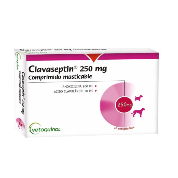 CLAVASEPTIN – 10 COMPRIMIDOS